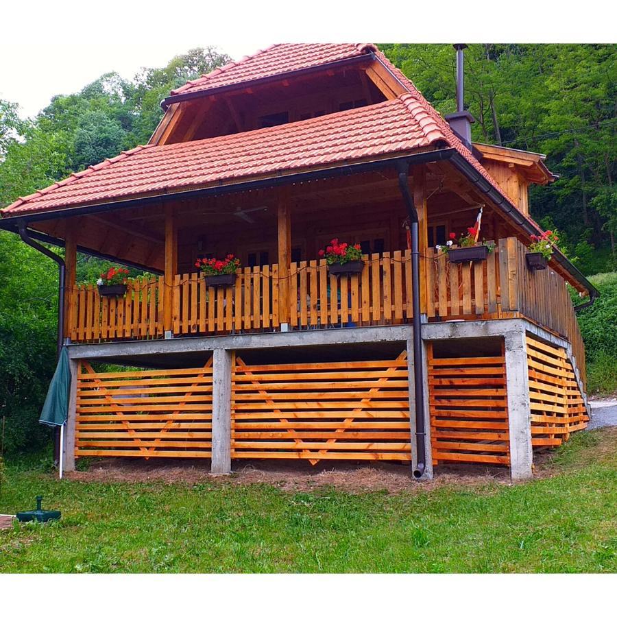 Drinska Tisina Villa Ljubovija Ngoại thất bức ảnh
